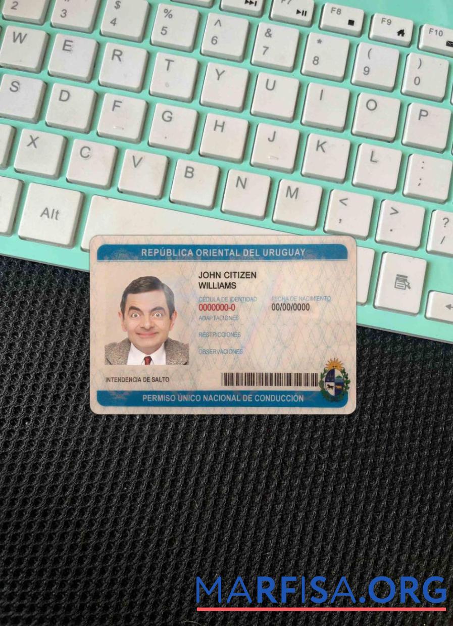Printable Uruguay driving license photolook example